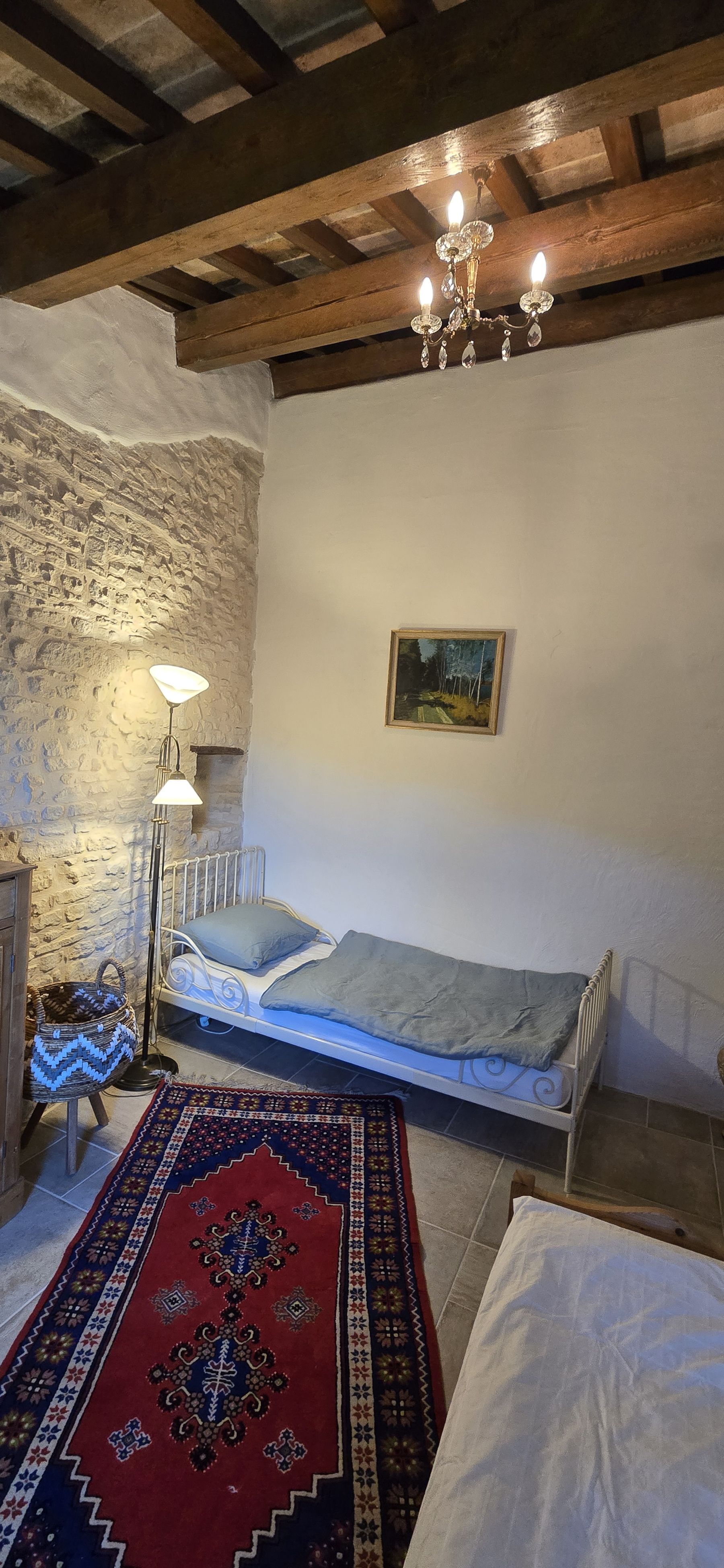 The Dog Paw — interior