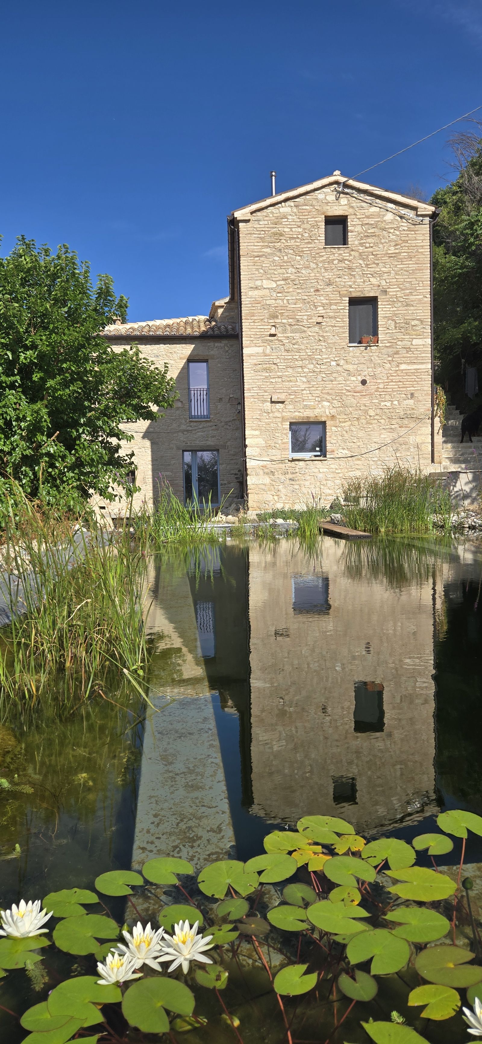 The restored stone house of Il Risveglio seen from the garden