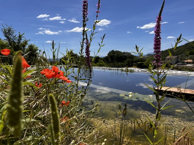 The natural pond of Il Risveglio