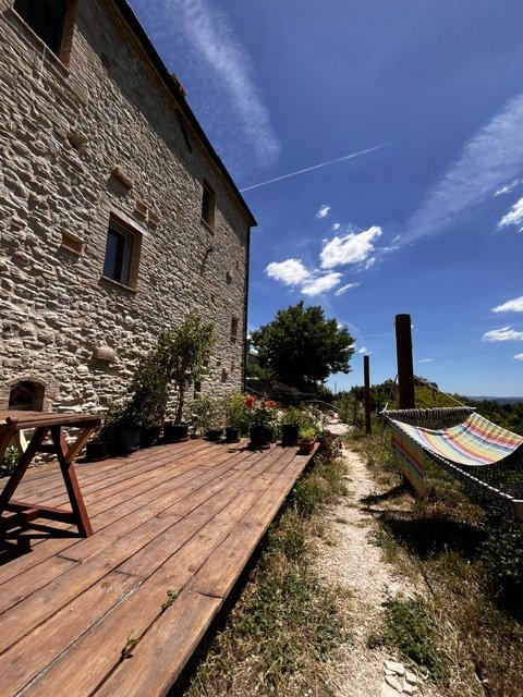 The terrace next to the house